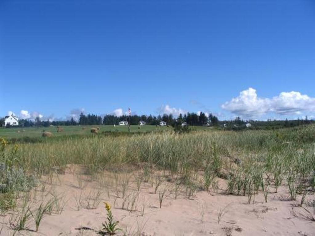 Sea'Scape Cottages Bayfield Buitenkant foto